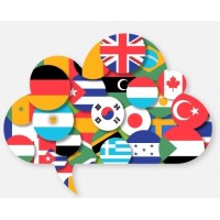 Global Language Consultancy Service logo - Similar company to Daehan Consultancy