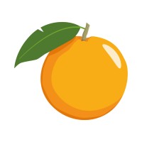 Movimiento Naranja logo - Similar company to Flint Hills Resources, Lp