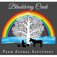 Blackberry Creek Farm Animal Sanctuary