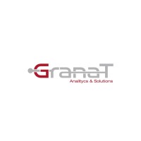 GranaT Analytics and Solutions logo - Similar company to Millete