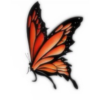 Chrysalis Wellness Coaching logo - Similar company to Computer Accessorie