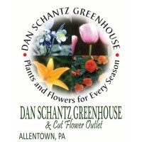 Dan Schantz