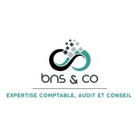 BNS&CO logo - Similar company to Advenso