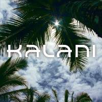 Kalani logo - Similar company to Dfd Cornoyerhedrick