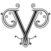 VIVENCIA logo - Similar company to Woops
