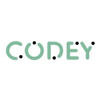 Codey logo - Similar company to Vitruvisoft