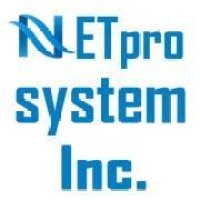 Netpro System Inc logo - Similar company to Serene Info Solutions Pvt. Ltd.