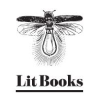 Lit Books logo - Similar company to Vision Prism