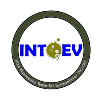 Extracellular vesicles research group - Prof. Irina Nazarenko logo - Similar company to Nlsev - Netherlands Society For Extracellular Vesicles