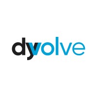 Dyvolve logo - Similar company to Renoinvest Eu
