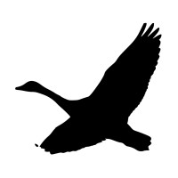 Free Movement logo - Similar company to Devon And Cornwall Refugee Support