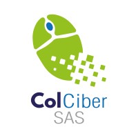 ColCiber S.A.S logo - Similar company to Rz Group