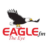 Eagle FM Namibia logo - Similar company to Future Media (Namibia)