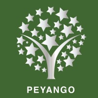 Peyango Ltd. logo - Similar company to Bmc Gates