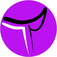 Technofi logo - Similar company to Nirmalaim Management Consultancy