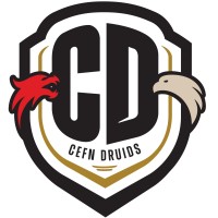 Cefn Druids FC logo - Similar company to Dallas Surf Soccer Club