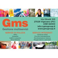 Gmsgroup logo - Similar company to Gms Gestione Multiservizi