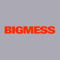 BIGMESS logo - Similar company to Corebook°