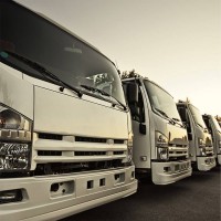 Time Messenger & Trucking Ltd. logo - Similar company to M4 Transportation Inc