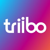 Triibo logo - Similar company to Modelo Ferramentas