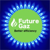 Future Gaz logo - Similar company to Bosphorus Energy