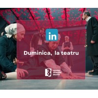 Teatrul Municipal Bacovia logo - Similar company to Linkbl