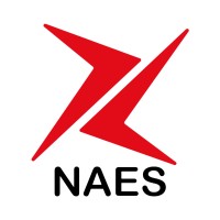 NAES PCI logo - Similar company to Latinworks