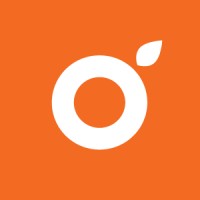 Mandarine International SA logo - Similar company to Cogneve