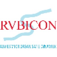 Rubicon Advies Voor Organisatie Dynamiek