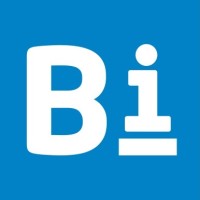 Borga Italia logo - Similar company to Defynd Srl