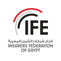 Insurers Federation of Egypt logo - Similar company to Drillmaster