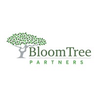 Bloom Tree Partners LLC logo - Similar company to Asia Catalyst