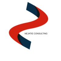 Nejatie Consulting logo - Similar company to People Bright Consulting Inc.