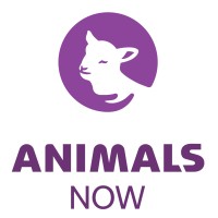 Animals Now (formerly Anonymous for Animal Rights) logo - Similar company to Limmud Fsu