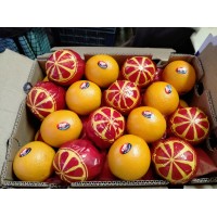 Orange For Agricultural Crop logo - Similar company to Amjad Dates Trading Company