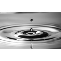 Insight Into Action, Inc.