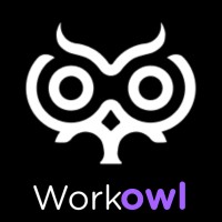 WorkOwl logo - Similar company to Aishntech