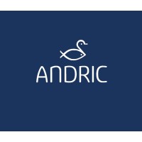 ANDRIC logo - Similar company to Mallen Group