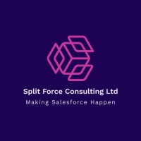 Split Force Consulting logo - Similar company to Quasar Connect
