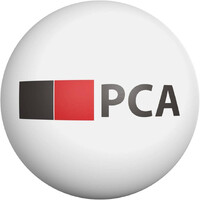 PCA Company Services logo - Similar company to Devwork.Vn