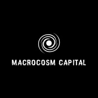 Macrocosm Capital logo - Similar company to Macrocosm