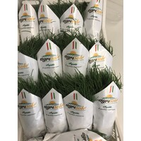 Azienda Agricola Agrisole logo - Similar company to Agriveg