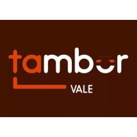 TamborVale - Recuperadora de Tambores LTDA logo - Similar company to Ouronitro Efluentes