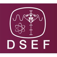 DSEF Geman Gem Lab logo - Similar company to Ardent Management Consulting