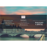Pali Kao Capital logo - Similar company to Therus
