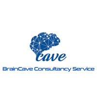 BrainCave Consultancy Service logo - Similar company to Brainwave Consultancy