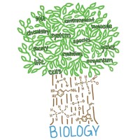 University of Portland - Biology Dept logo - Similar company to Perfect Crust Pizza Liners