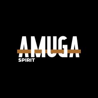 Amuga logo - Similar company to Amuga - Autorité De La Mobilité Urbaine Dans Le Grand Abidjan