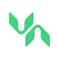 Vnn Wealth