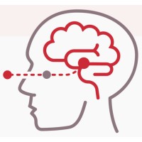 Brainspotting Ireland logo - Similar company to Hudson Valley Current